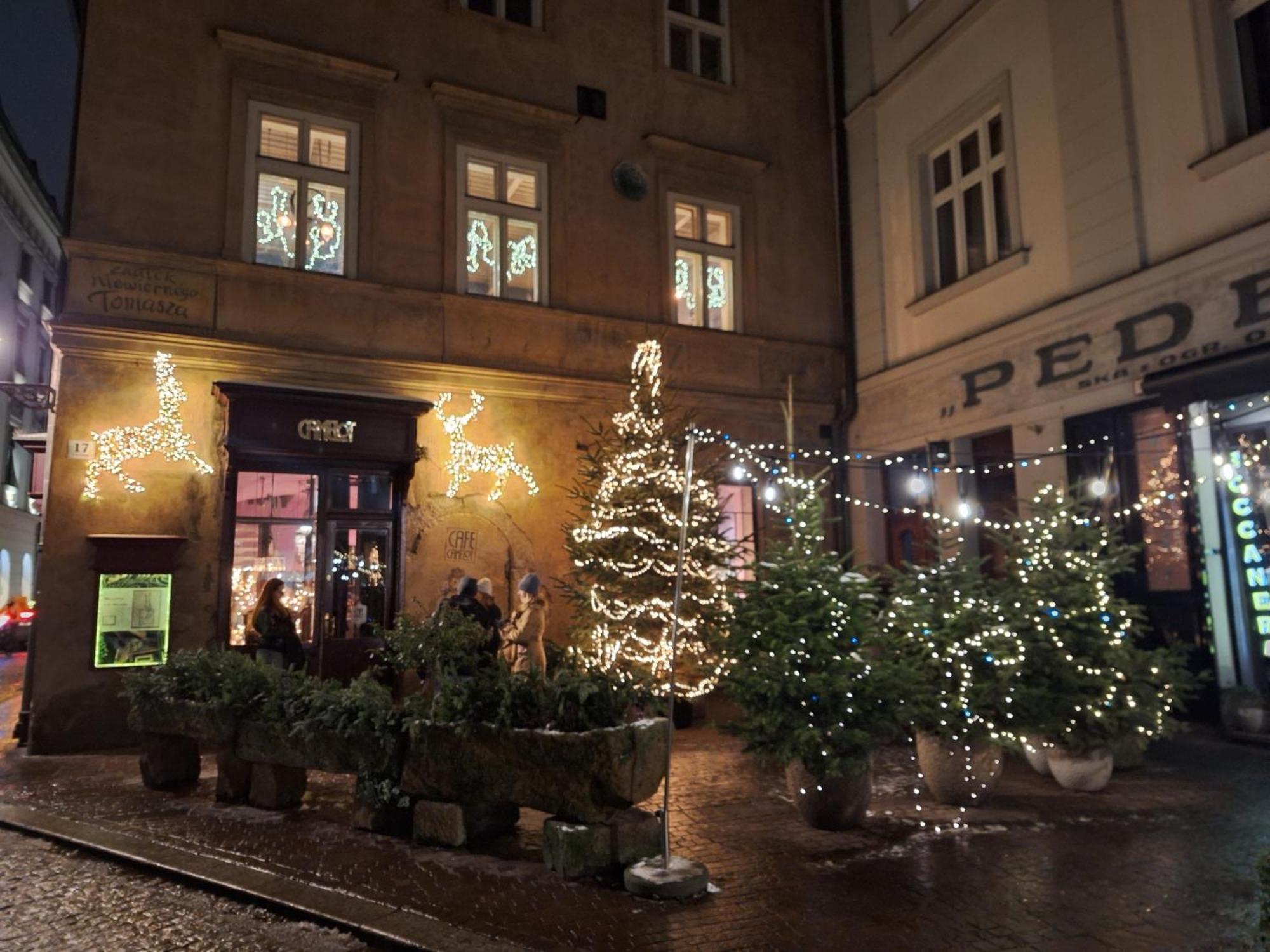 Apartment With Entresol Old Town Krakow, Krakow